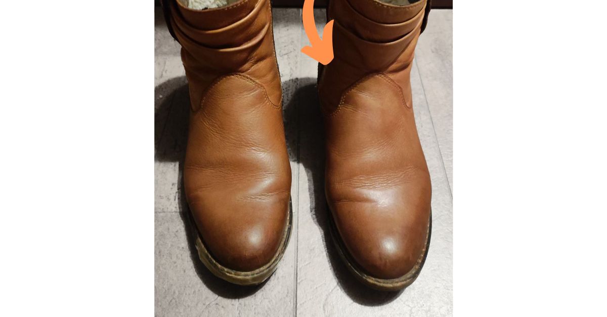 Krém Shoe Cream 109 gazelle 2